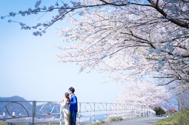 社会人カップルがデートしている様子