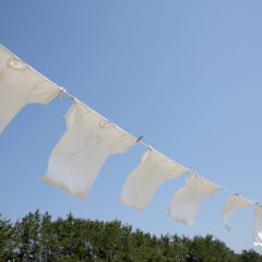 Tシャツを洗う頻度は？服を長持ちさせる洗い方のポイントを解説！